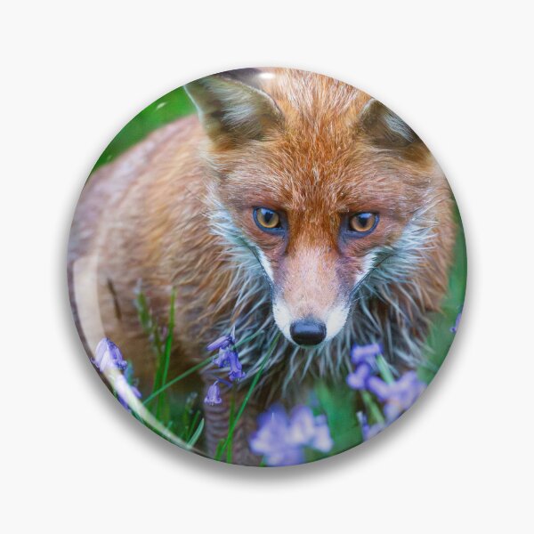 Item preview, Fox Amidst Bluebells designed and sold by AnitaNicholson.