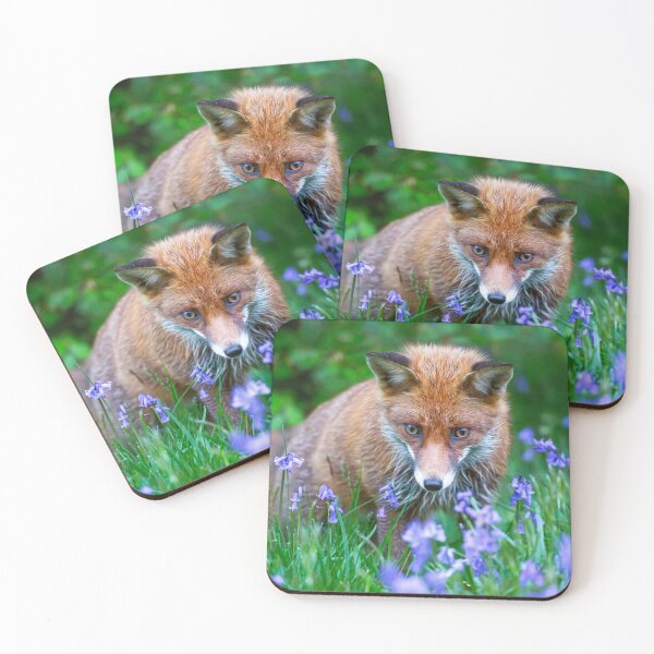 Item preview, Fox Amidst Bluebells designed and sold by AnitaNicholson.