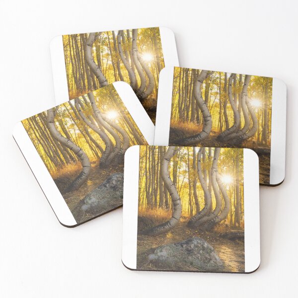 Item preview, Golden Sunburst over Curved Aspen Forest – Majestic Autumn Woods Photography designed and sold by JohnManuelPhoto.