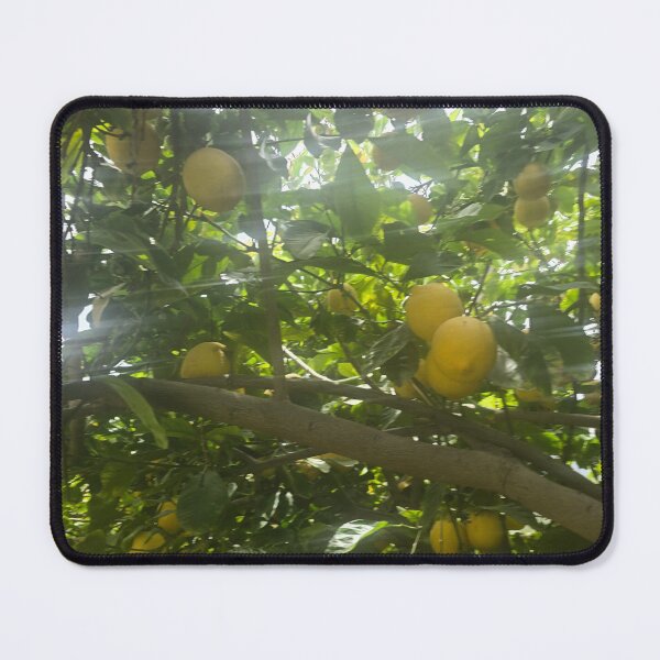 Item preview, Lemon tree designed and sold by P89.