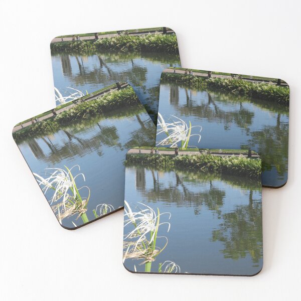 Item preview, King Rama IX Park, Bangkok designed and sold by morrisophotography.