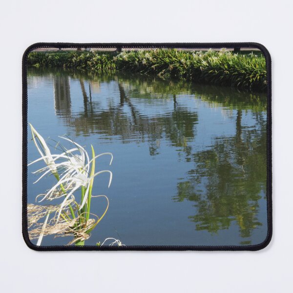 Item preview, King Rama IX Park, Bangkok designed and sold by morrisophotography.