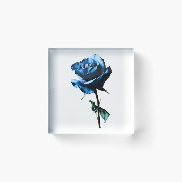 Item preview, Rose designed and sold by di-Vera-Rosati.