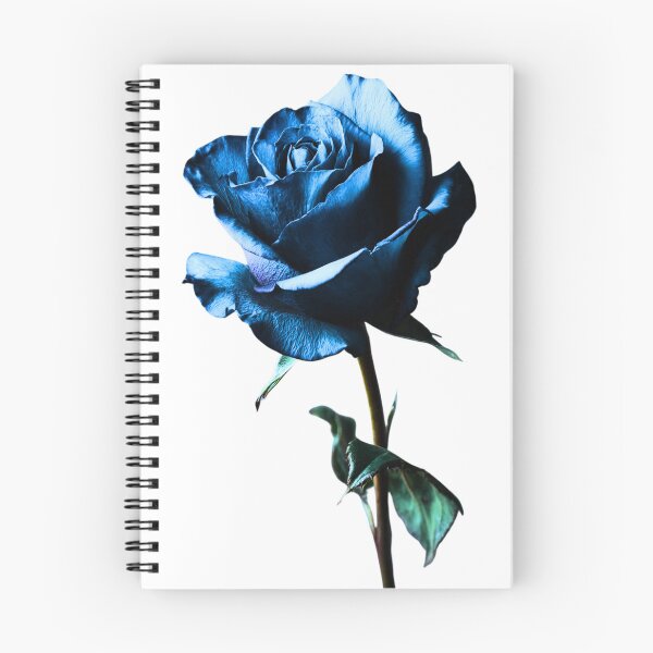 Item preview, Rose designed and sold by di-Vera-Rosati.
