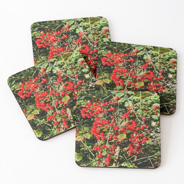 Item preview, Vibrant Red Winterberry Cluster and Evergreen Foliage designed and sold by BalkanBloom.