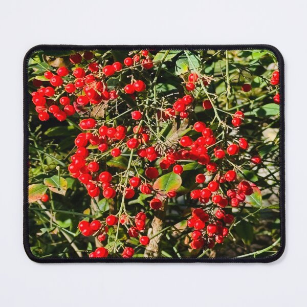 Item preview, Vibrant Red Winterberry Cluster and Evergreen Foliage designed and sold by BalkanBloom.