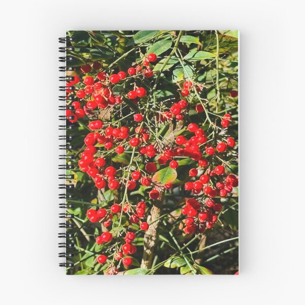 Item preview, Vibrant Red Winterberry Cluster and Evergreen Foliage designed and sold by BalkanBloom.