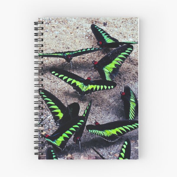Item preview, Butterflies designed and sold by di-Vera-Rosati.