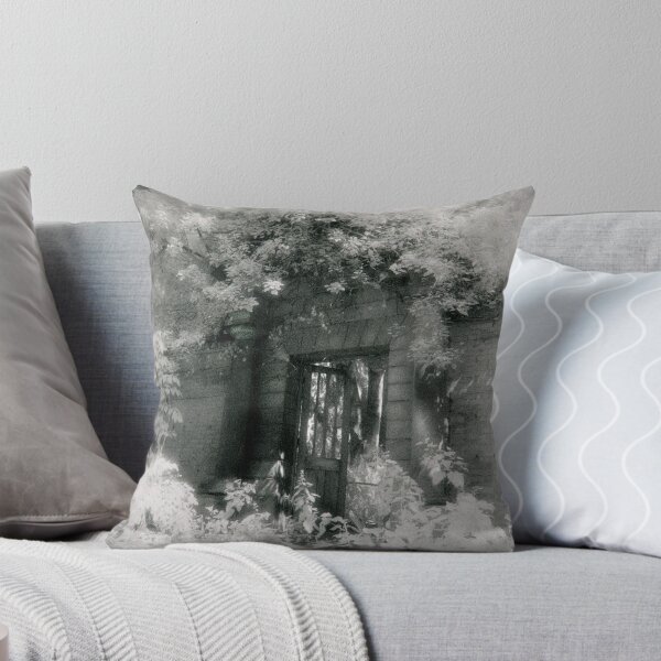 Item preview, Secret Door in a Secret Garden designed and sold by Scott-Tilley Photography.