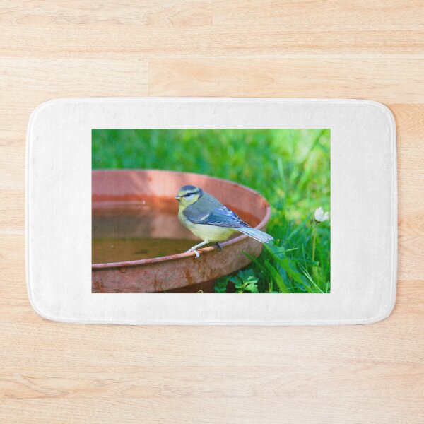 Item preview, Blue tit small birds  designed and sold by Ribster13.