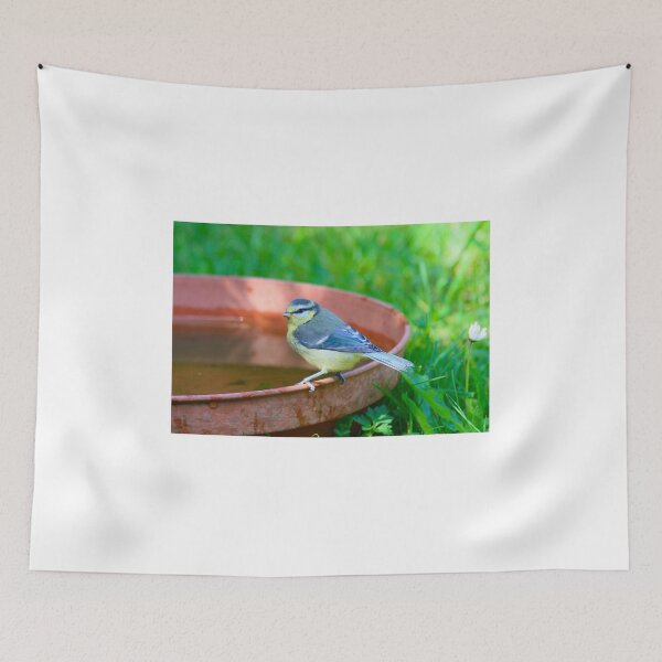 Item preview, Blue tit small birds  designed and sold by Ribster13.