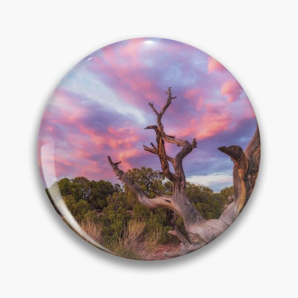 Item preview, Gnarled Desert Bristlecone Pine at Sunset – Vibrant Southwest Wilderness Photography designed and sold by JohnManuelPhoto.