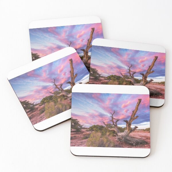Item preview, Gnarled Desert Bristlecone Pine at Sunset – Vibrant Southwest Wilderness Photography designed and sold by PygmyTitan Photo.