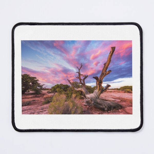 Item preview, Gnarled Desert Bristlecone Pine at Sunset – Vibrant Southwest Wilderness Photography designed and sold by JohnManuelPhoto.