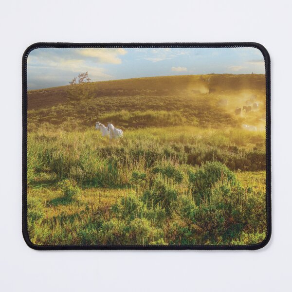 Item preview, Racing For Pasture designed and sold by Kay Brewer.