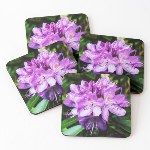 Item preview, Macro Photograph of A Rhododendron designed and sold by Tom McPherson Photography.