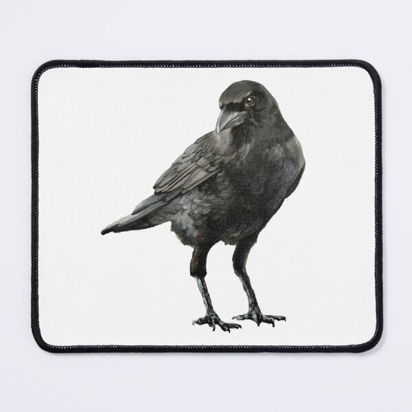 Item preview, American Crow painting 2 (no background) designed and sold by Emily Bickell.