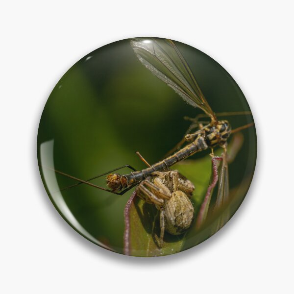 Item preview, Caught — Crab Spider and Its Prey in Macro designed and sold by Rabee Khalil Photography.