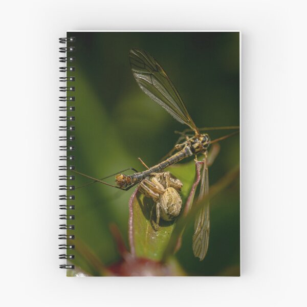 Item preview, Caught — Crab Spider and Its Prey in Macro designed and sold by Rabee Khalil Photography.