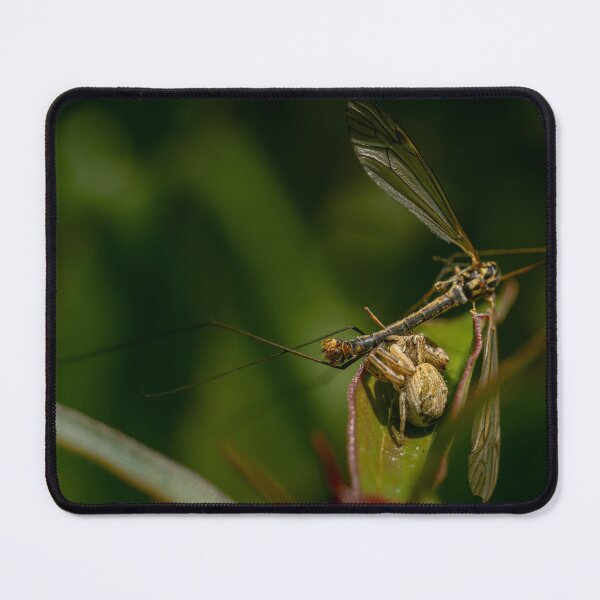 Item preview, Caught — Crab Spider and Its Prey in Macro designed and sold by Rabee Khalil Photography.
