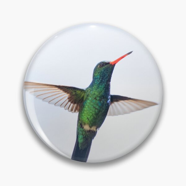 Item preview, Versicolored Emerald Hummingbird designed and sold by anafrancisconi.