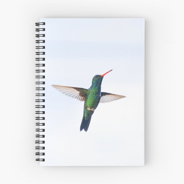 Item preview, Versicolored Emerald Hummingbird designed and sold by anafrancisconi.