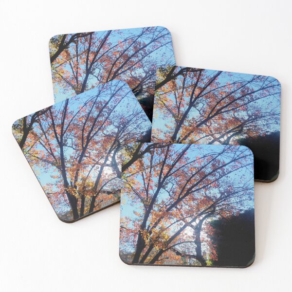 Item preview, Autumn in New York designed and sold by Curious Echo Photography.