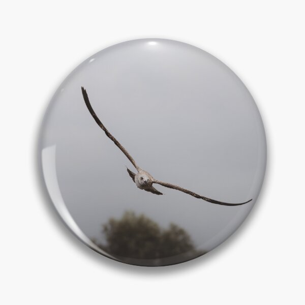 Item preview, Cinematic Bird Flight  designed and sold by Mutezone.