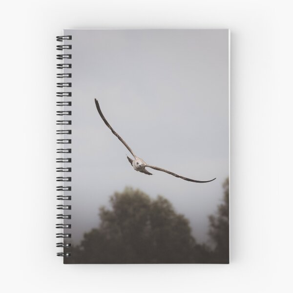 Item preview, Cinematic Bird Flight  designed and sold by Mutezone.