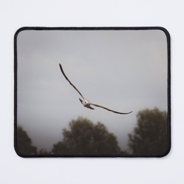 Item preview, Cinematic Bird Flight designed and sold by Mutezone.