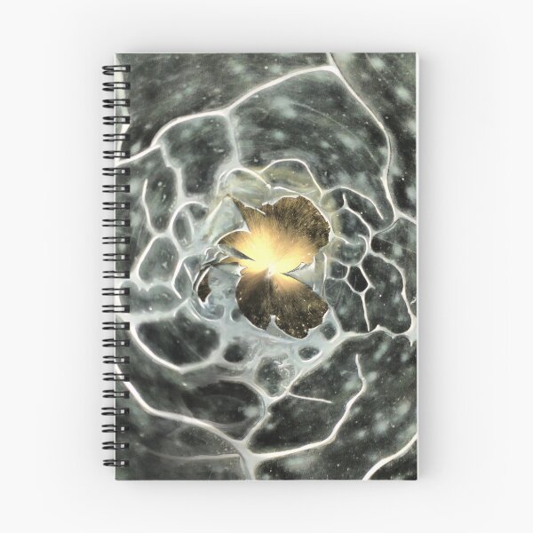 Item preview, Abstract ( 188 ) Movement enlarging the hole (3)  designed and sold by Larry Davis.