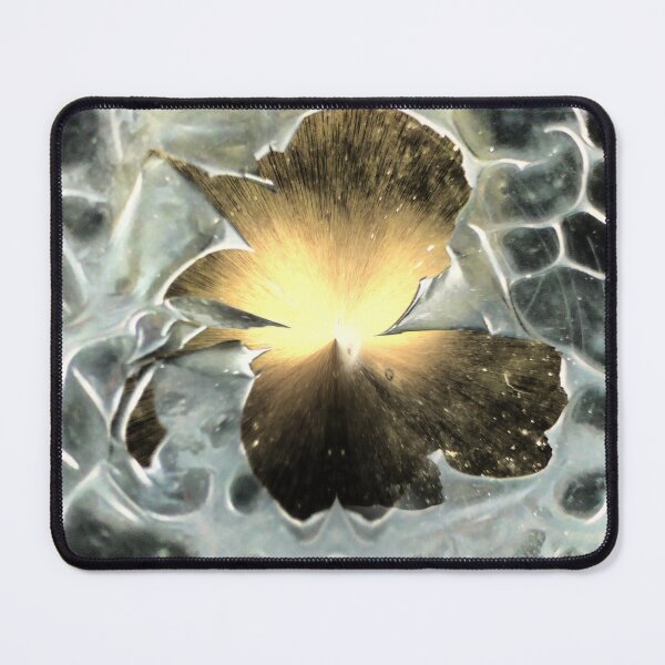 Item preview, Abstract ( 188 ) An Exploding Star in Glass (4)  designed and sold by Larry Davis.