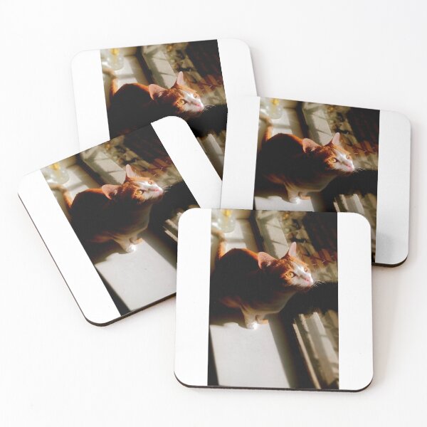Item preview, Birdwatcher designed and sold by Curious Echo Photography.