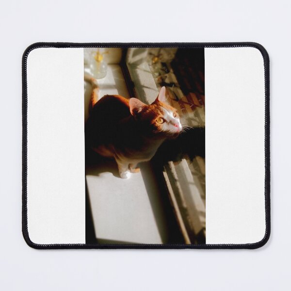 Item preview, Birdwatcher designed and sold by Curious Echo Photography.