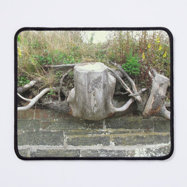 Item preview, Big Stump designed and sold by Ethna Gillespie.