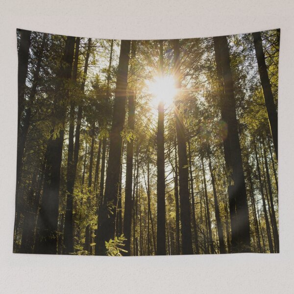 Item preview, Sun Shining Through Trees designed and sold by PointBlank.