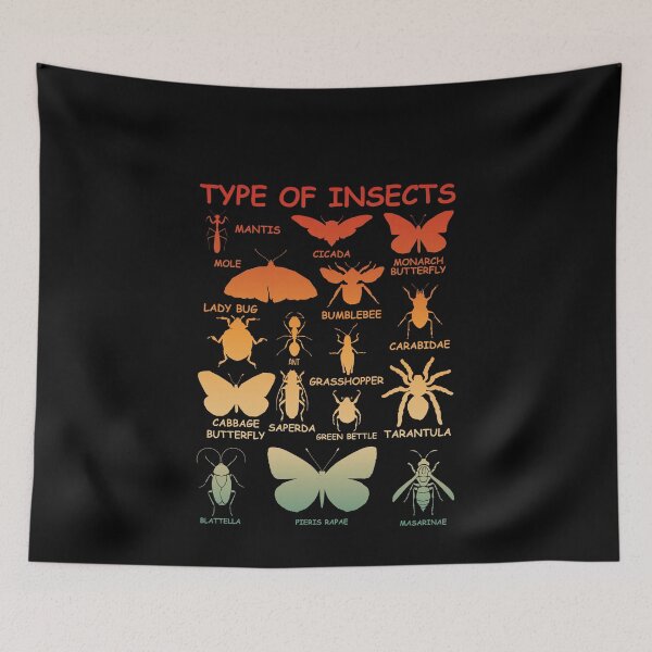 Item preview, Type Of Insects Entomology Biology Nature Explorer designed and sold by PopStars1993.
