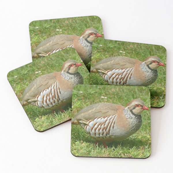 Item preview, Red-legged Partridge designed and sold by Chris Petty.
