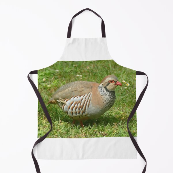 Item preview, Red-legged Partridge designed and sold by Chris Petty.