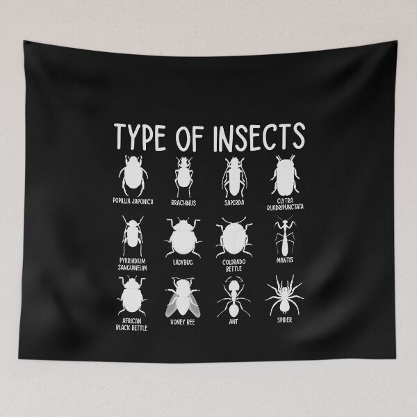 Item preview, Type Of Insects Insect Identification Entomology Science Education designed and sold by PopStars1993.