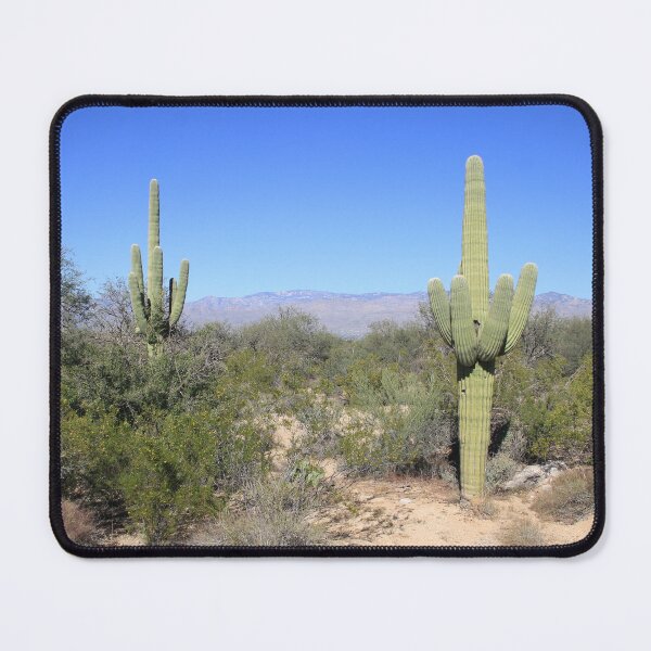 Item preview, Two Cactus designed and sold by MatthewThomasDaniels.