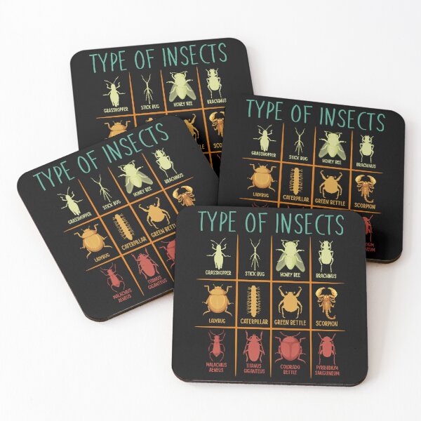 Item preview, Type Of Insects Entomology Bug Identification Nature Lover designed and sold by PopStars1993.