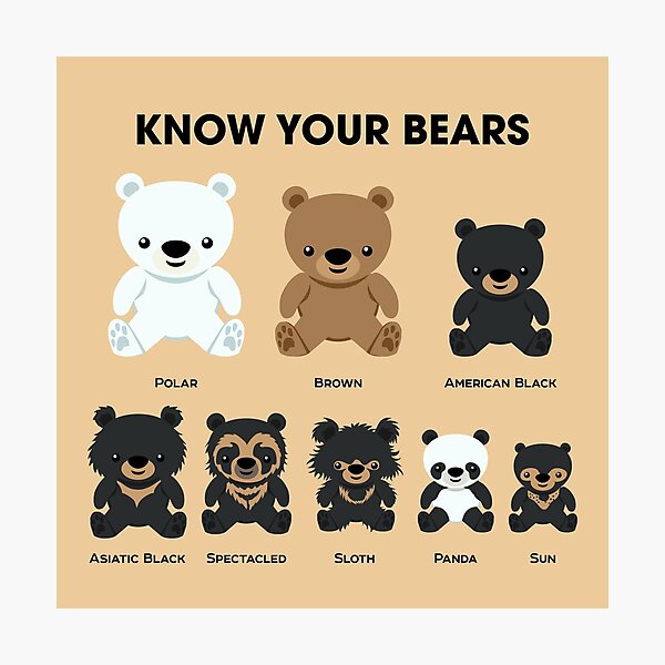 Know Your Bears Photographic Print
