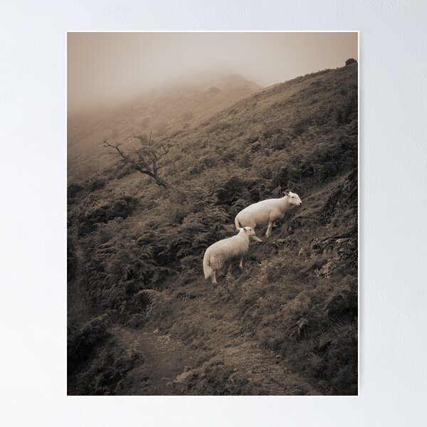 Item preview, Fog over Carding Mill Valley designed and sold by PointBlank.