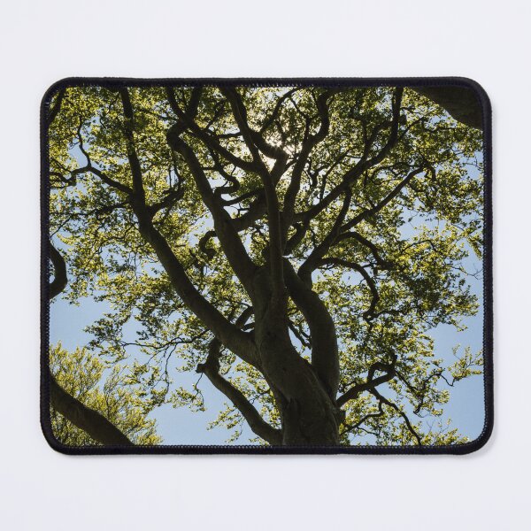 Item preview, Trees at the Dark Hedges, Ireland. designed and sold by PointBlank.