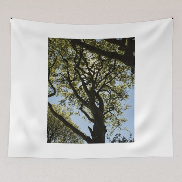 Item preview, Trees at the Dark Hedges, Ireland. designed and sold by PointBlank.