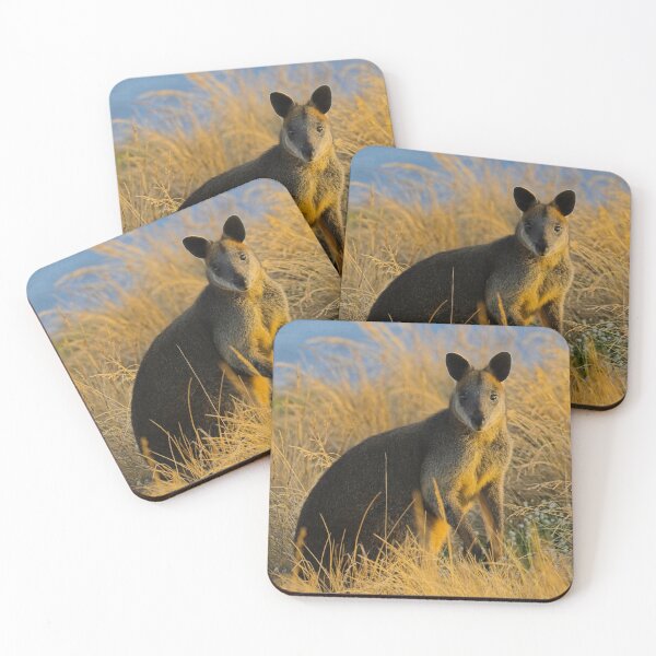 Item preview, Swamp Wallaby Phillip Island designed and sold by jdrphotos.