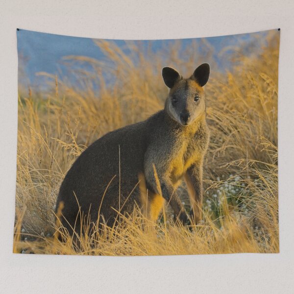 Item preview, Swamp Wallaby Phillip Island designed and sold by jdrphotos.