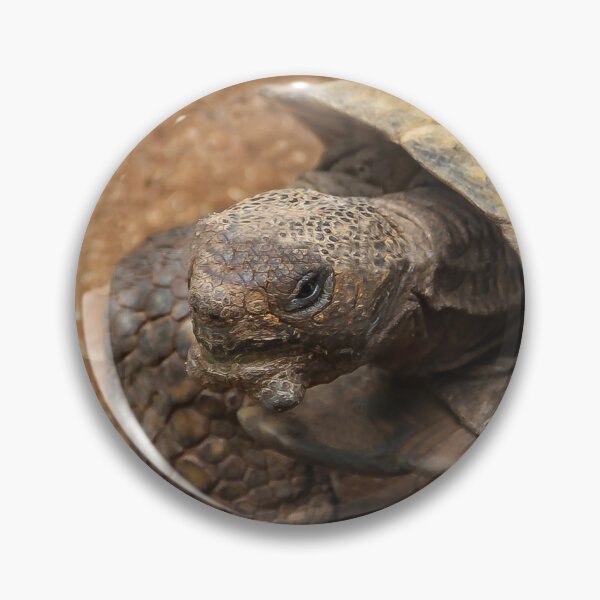 Item preview, Mr. Tortie designed and sold by heatherfriedman.
