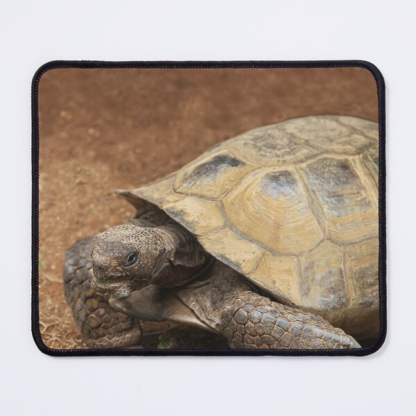 Item preview, Mr. Tortie designed and sold by heatherfriedman.